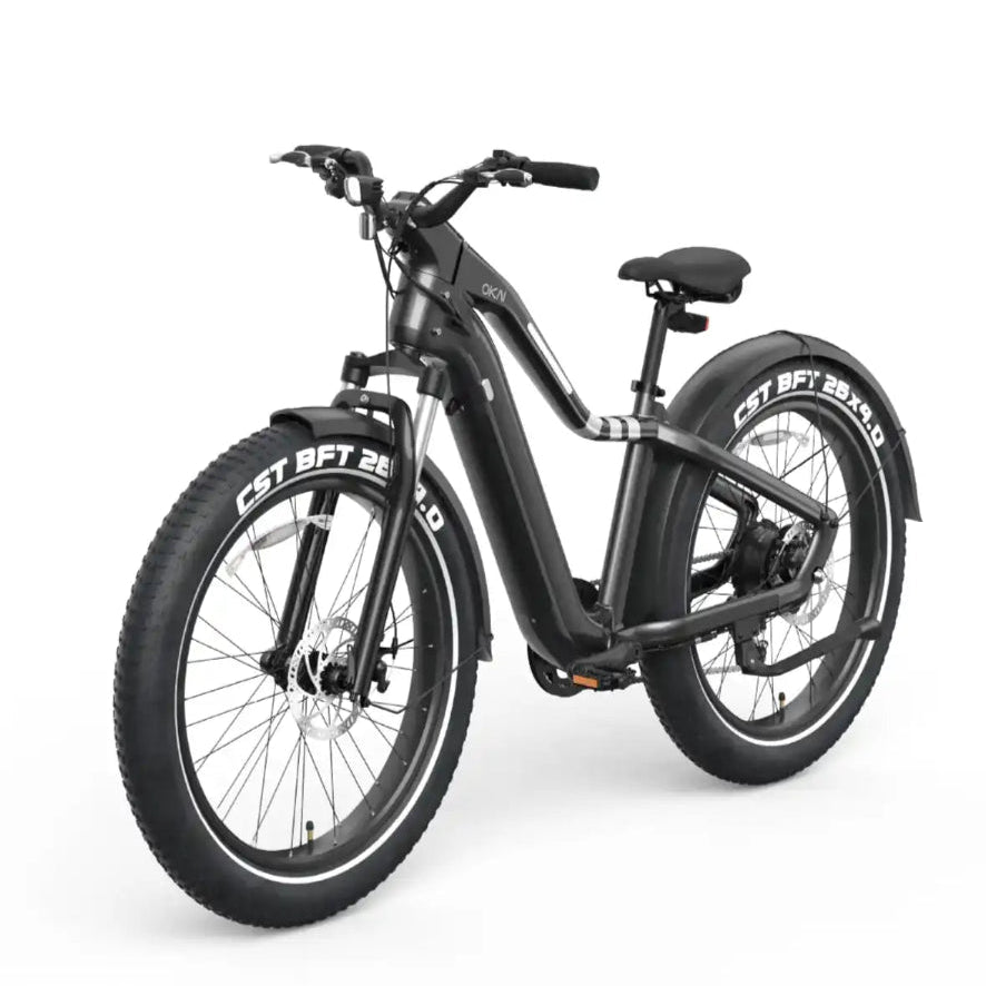 Ranger EB50 eBike