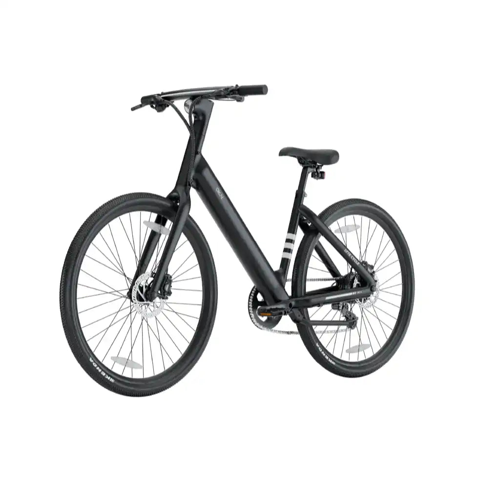 LyteCycle EB60 eBike