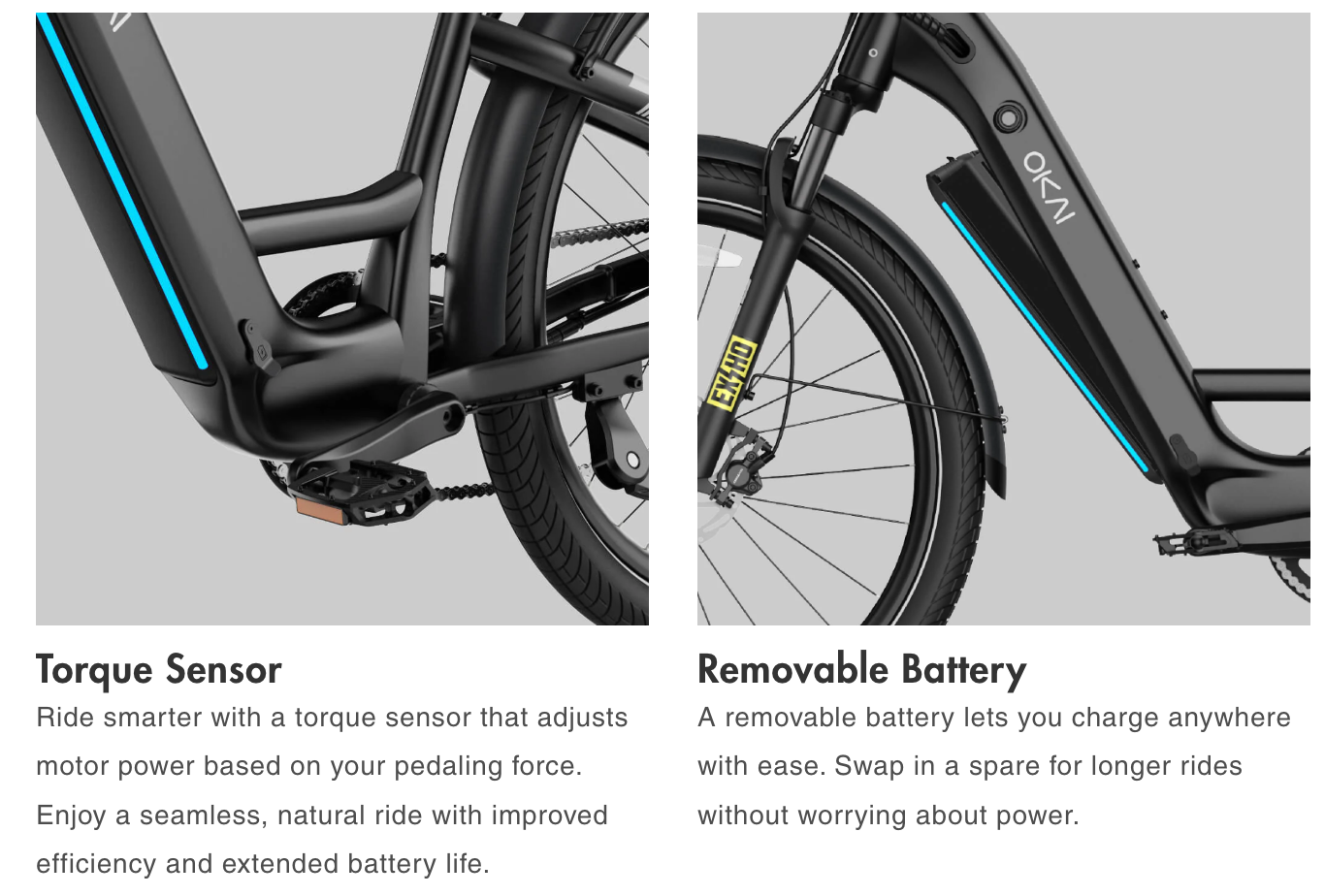TraVRS EB80 eBike