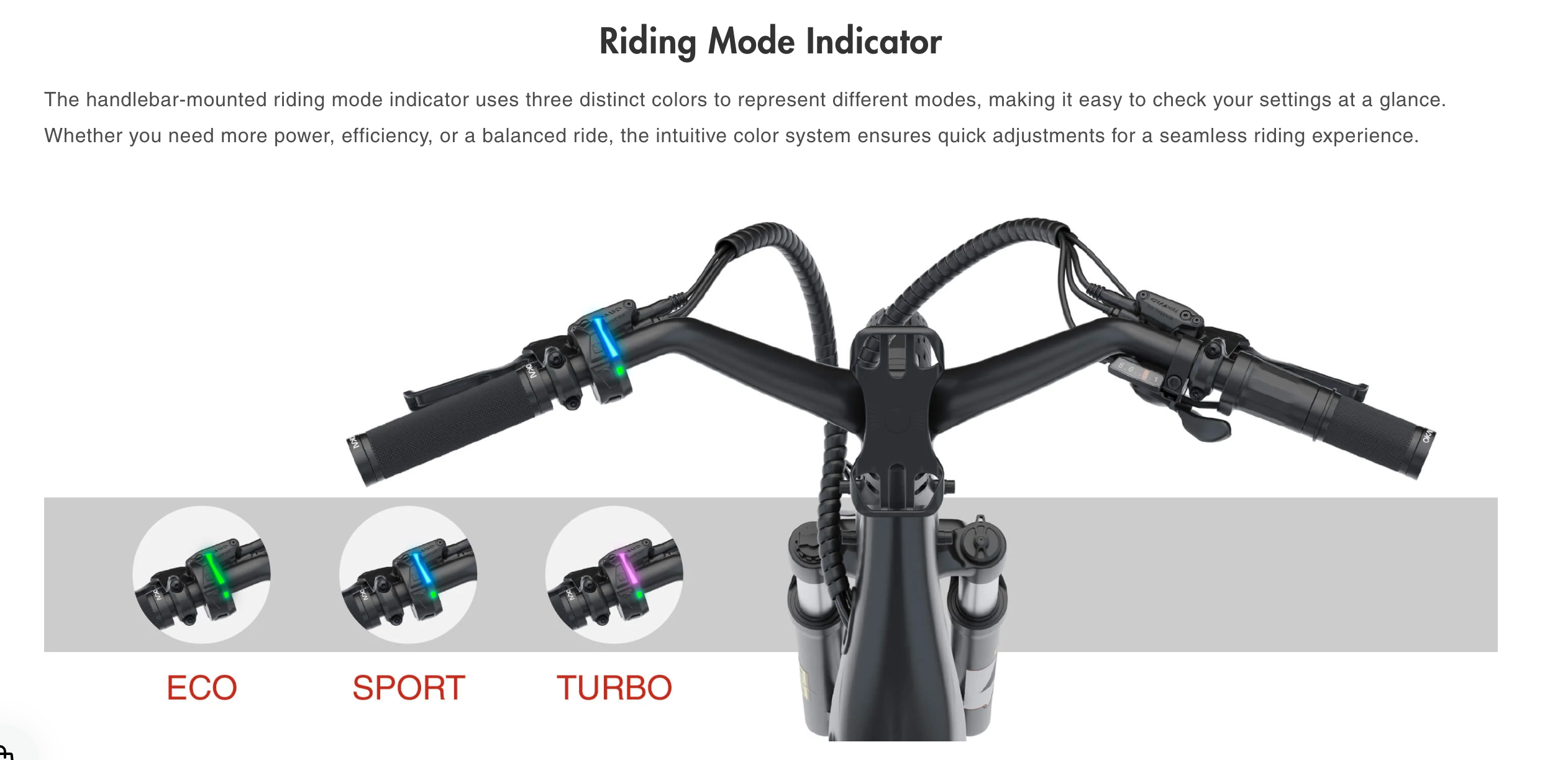 TraVRS EB80 eBike