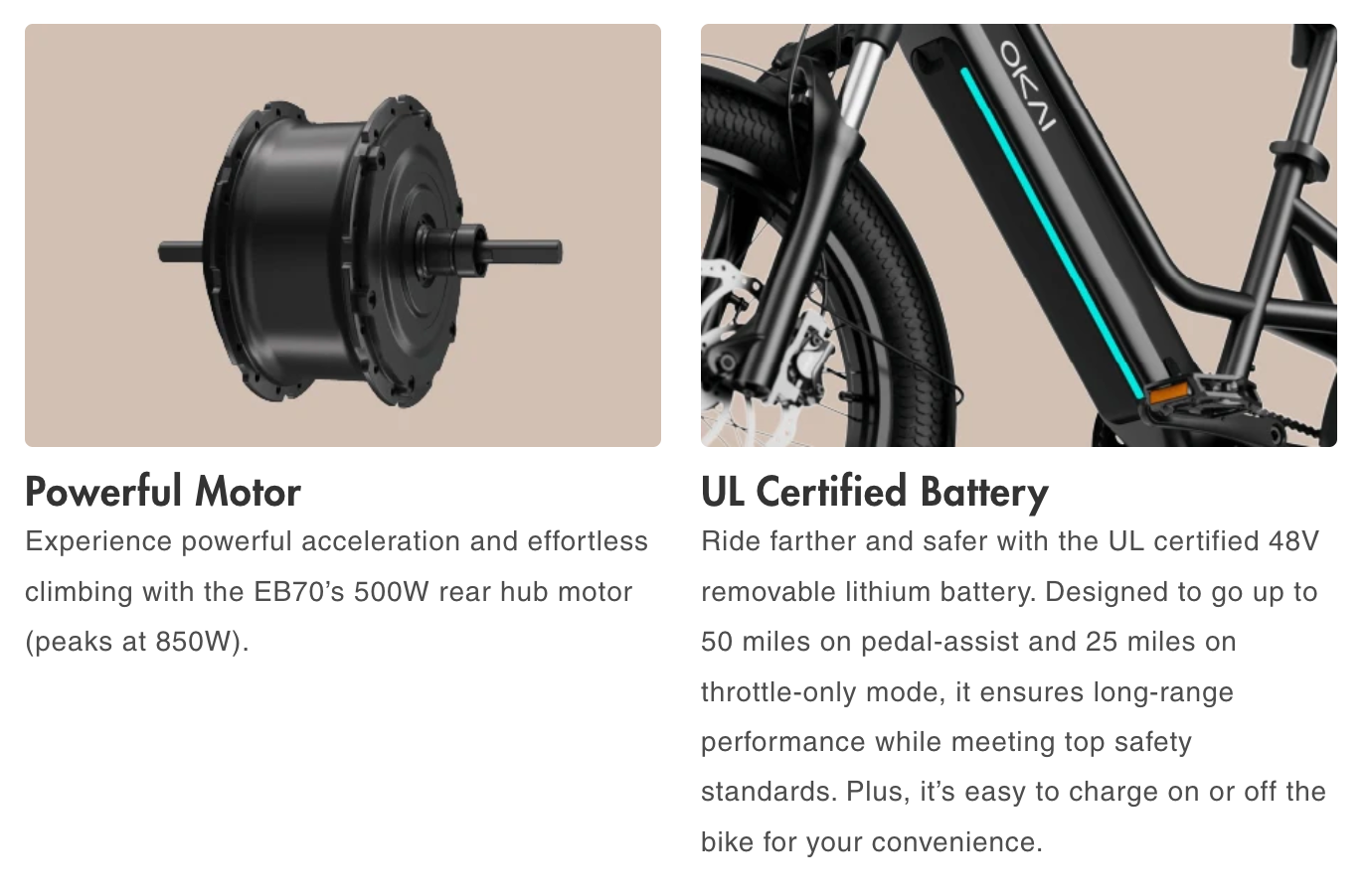 E-Kargo EB70 eBike